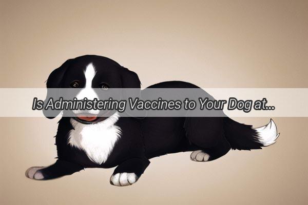 Is Administering Vaccines to Your Dog at Home as Reliable as Professional Care Discover the Truth